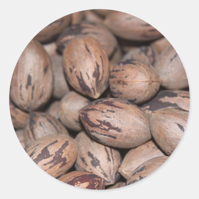 Adesivo Redondo Pecan Stickers (Frente)