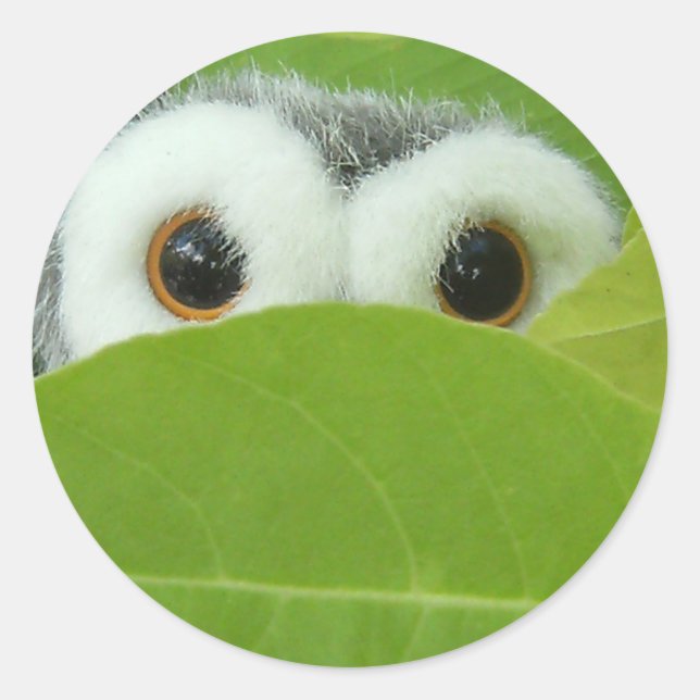 Adesivo Redondo Peek-A-Boo (Frente)