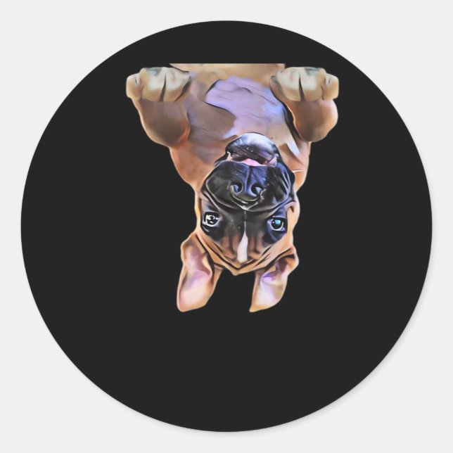 Adesivo Redondo Peekaboo Boxer (Frente)