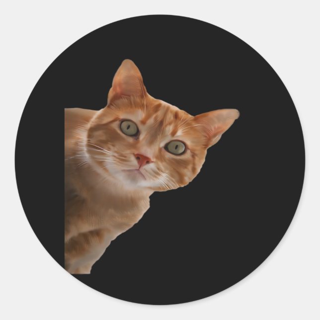 Adesivo Redondo Peekaboo - Pintura (Frente)