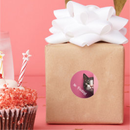 Adesivo Redondo Peeks de Gato Bonito