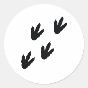 Adesivo Redondo pegadas de dinossauro