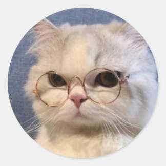 Adesivo Redondo Pegatina de gato