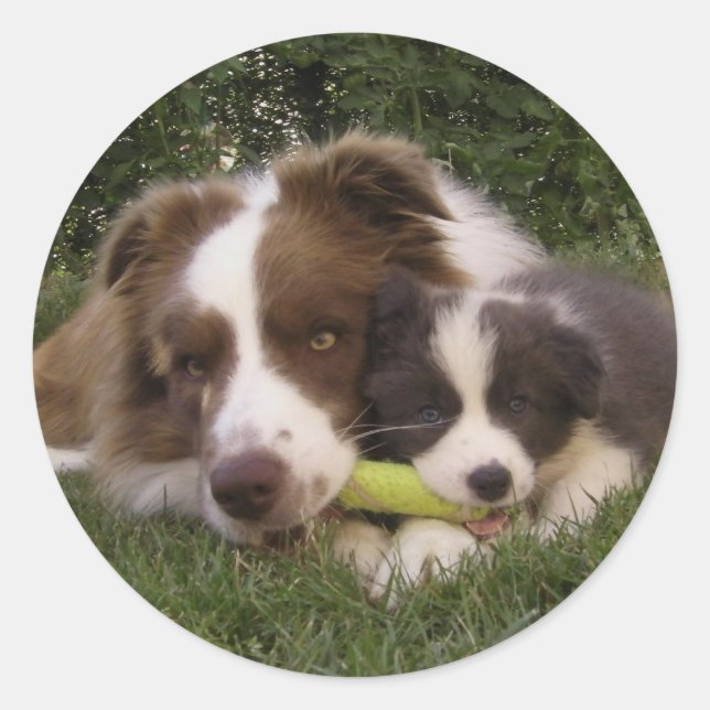 Adesivo Redondo Pegatina Kun y Vir (Frente)