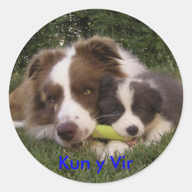 Adesivo Redondo Pegatina Kun y Vir (Frente)