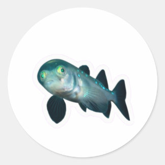 Adesivo Redondo Peixe-Barreleye de Águas Profundas Adesivo, Cabeça
