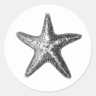 ADESIVO REDONDO "PEIXE DE ESTRELO" SEALIFE ENVELOPE SACO