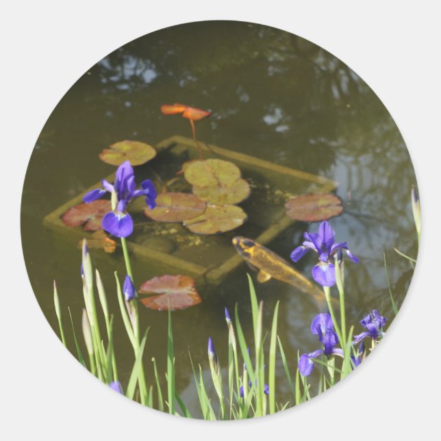 Adesivo Redondo Peixe Koi nº 4 (Frente)