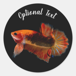 Adesivo Redondo Peixe Lutador Betta Laranja