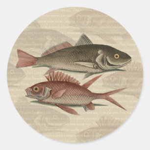 Adesivo Redondo Peixe Perca Vermelha Arte de Pescador