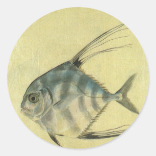 Adesivo Redondo Peixe Pompano Africano, Trevally de Barbatana Vint