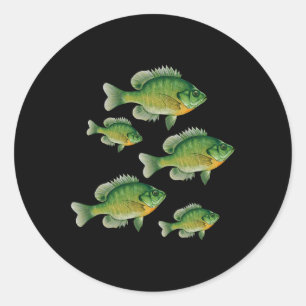 Adesivo Redondo Peixe Sol Azul Engraçado Pesca Peixe de Água Doce