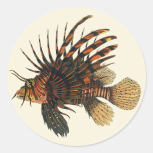 Adesivo Redondo Peixes do Lionfish do vintage, animal marinho da