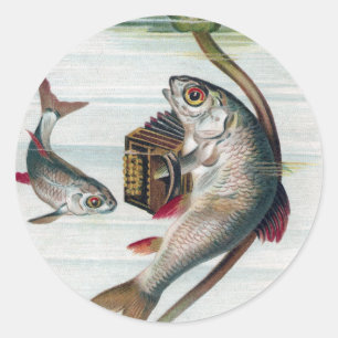 Adesivo Redondo Peixes que jogam o lírio do acordeão e de água