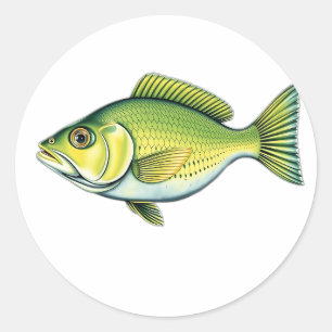 Adesivo Redondo Peixes Verdes Vivos com Padrões de Ondas