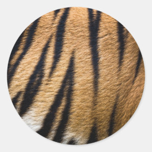Adesivo Redondo pele de animal tigre textura de pelo natureza list