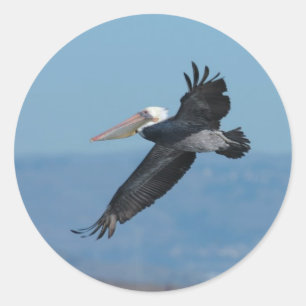 Adesivo Redondo Pelican-9 Sticker