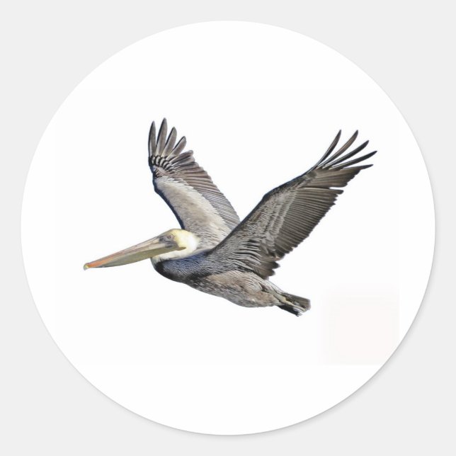 Adesivo Redondo Pelican Clear (Frente)