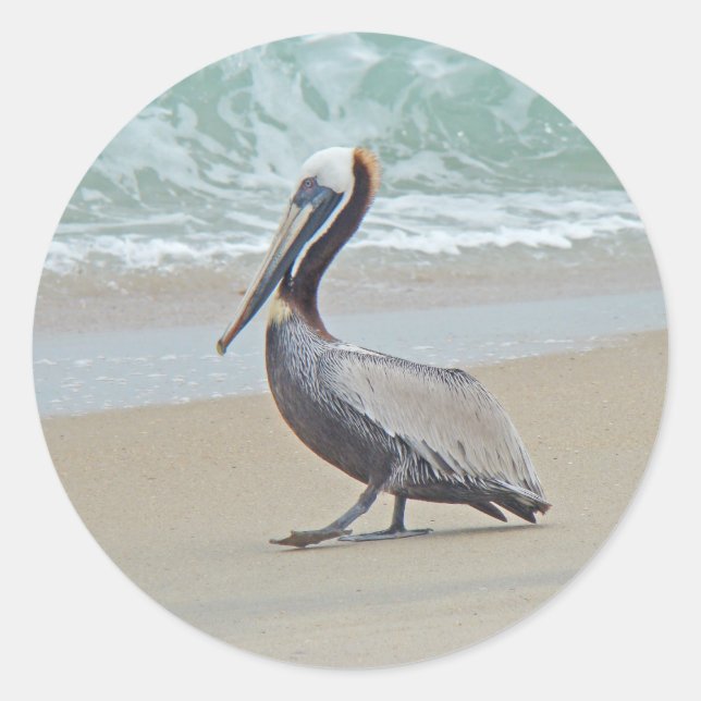 Adesivo Redondo Pelican on Outer Banks (Frente)