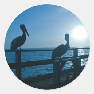 Adesivo Redondo Pelicano/etiqueta azuis