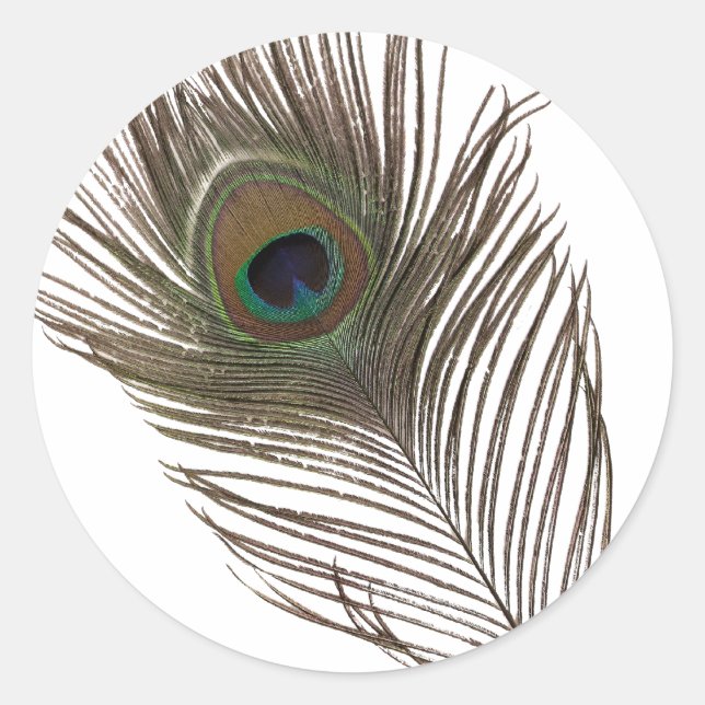 Adesivo Redondo Pena de Peacock (Frente)