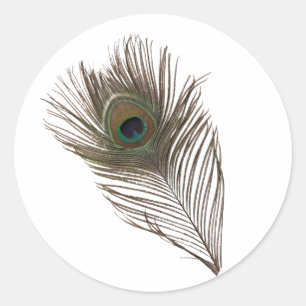 Adesivo Redondo Pena de Peacock