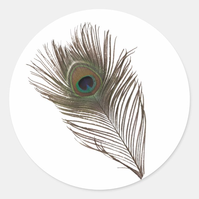 Adesivo Redondo Pena de Peacock (Frente)