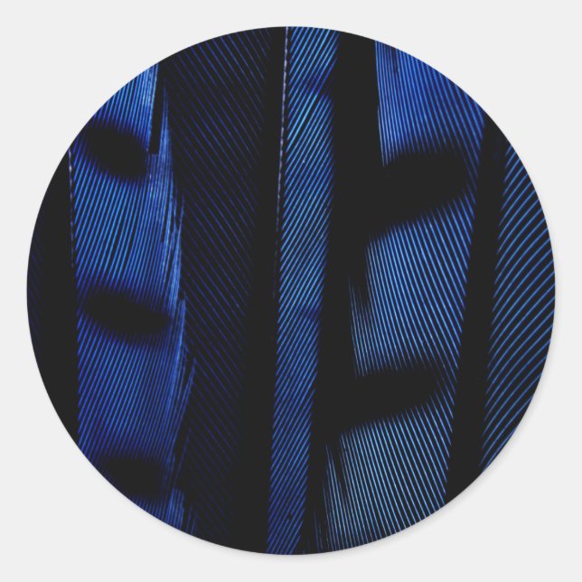 Adesivo Redondo Penas de jato azul (Frente)