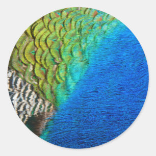 Adesivo Redondo Penas de Pavão IV Colorido Abstrato Natureza