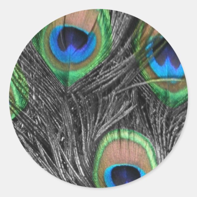 Adesivo Redondo Penas de Pavão Pretas e Brancas (Frente)