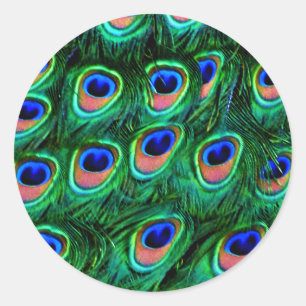 Adesivo Redondo Penas de peacock_
