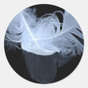 Adesivo Redondo Penas gêmeas e reflexão da chama