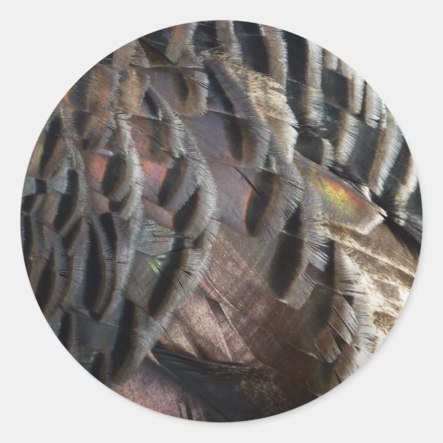 Adesivo Redondo Penas Selvagens Turcas I Abstrato Nature Design (Frente)