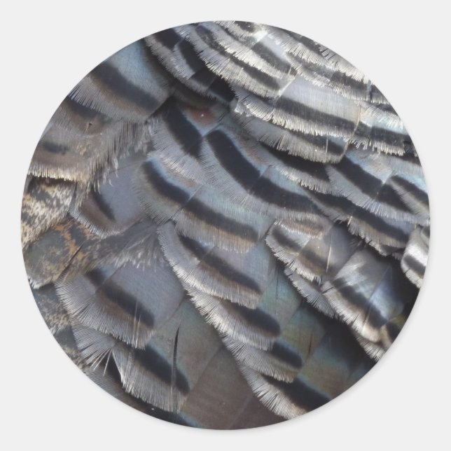 Adesivo Redondo Penas Turcas Selvagens II Abstrato Nature Design (Frente)