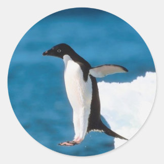 Adesivo Redondo Penguin Jumping Sticker