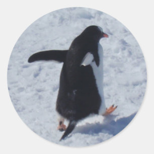 Adesivo Redondo Penguin on move Stickers Return Address Labels