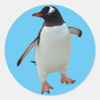 Adesivo Redondo Penguin Sticker
