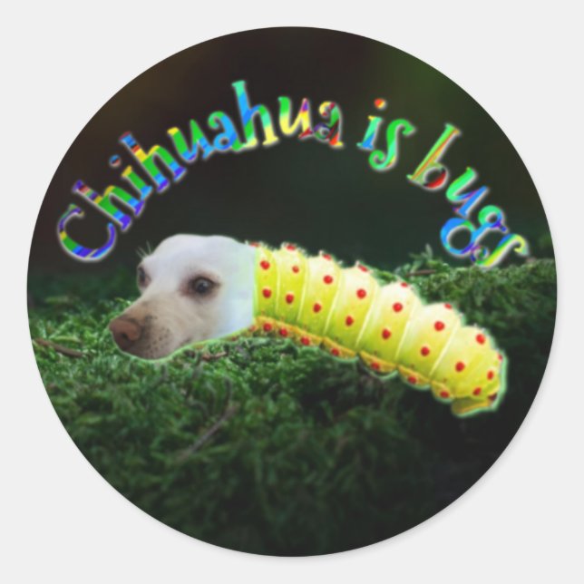 Adesivo Redondo Penny inseto Sticker (Frente)