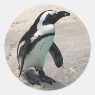 Adesivo Redondo Penquin Sticker