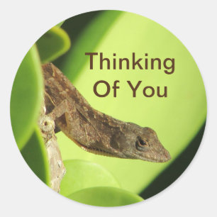 Adesivo Redondo Pensando Em Sua Amizade Bela Réptil Gecko