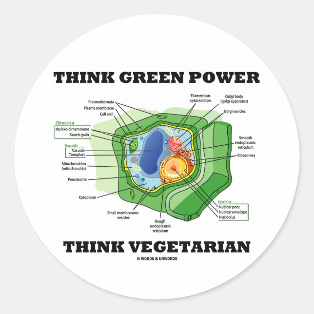 Adesivo Redondo Pense verde Power Think Vegetarian (célula vegetal (Frente)