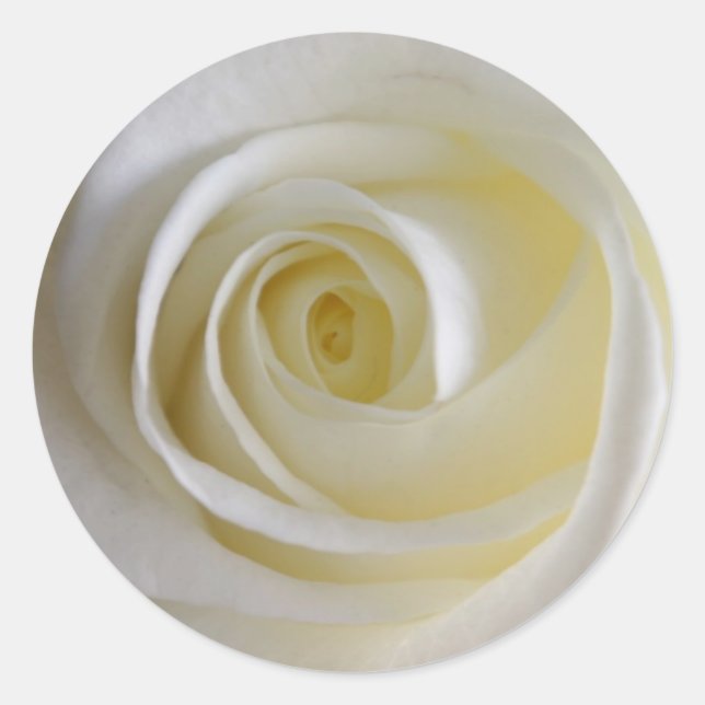 Adesivo Redondo Pentes Brancas de Rosa (Frente)
