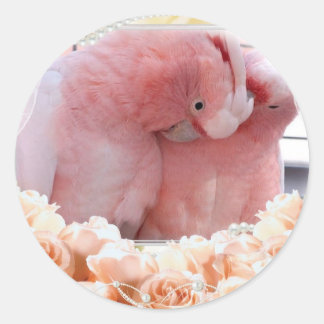 Adesivo Redondo Pentes de Cockatoas Rosa