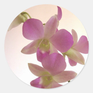 Adesivo Redondo Pentes de orquídeas roxas