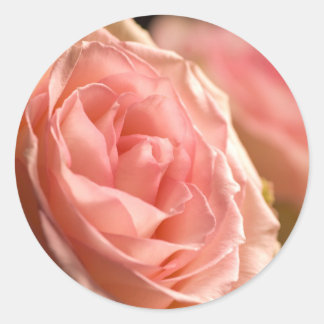 Adesivo Redondo Pentes Rosa Rosa Espelhos