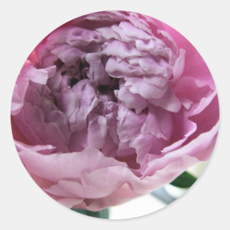 Adesivo Redondo Peony