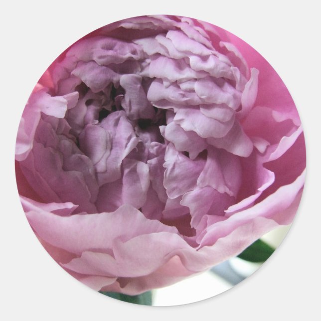 Adesivo Redondo Peony (Frente)