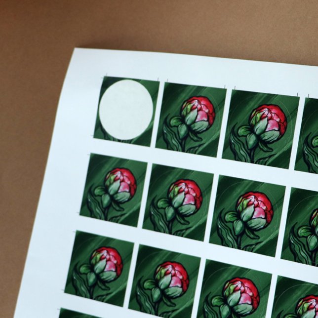 Adesivo Redondo Peony Flower Peonies Gardener art Rosa (Criador carregado)