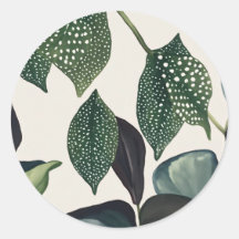 "Peppy Peperomias: Abraça o Verde com Polka