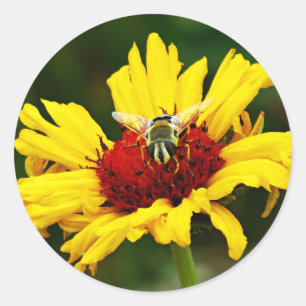 Adesivo Redondo Pequena Abelha Coloca-se no Florim Amarelo Laranja